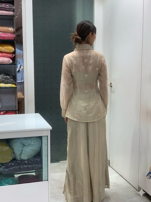 Beige Soft Net Top & Pants Co-ord Set